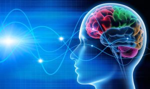 Neuromarketing aplicat